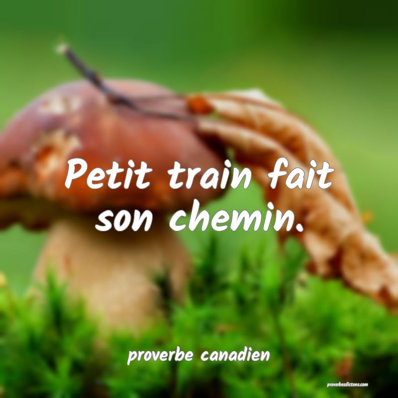  Petit train fait son chemin.