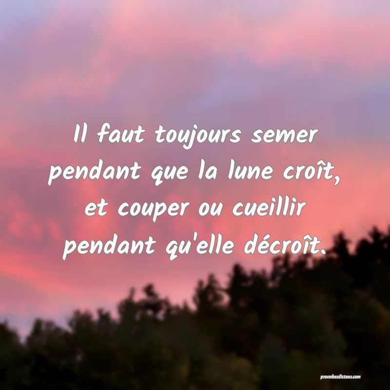 Il faut toujours semer pendant que la lune croît, et couper ou cueillir pendant qu'elle décroît.