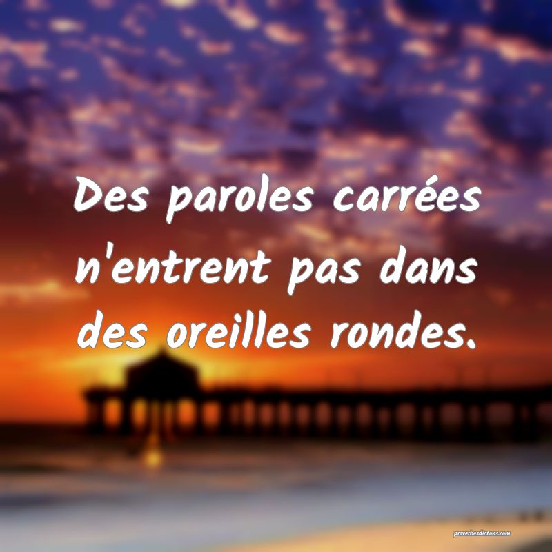Des paroles carrées n'entrent pas dans des oreilles rondes.