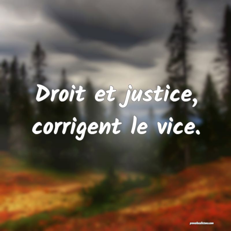Droit et justice, corrigent le vice.