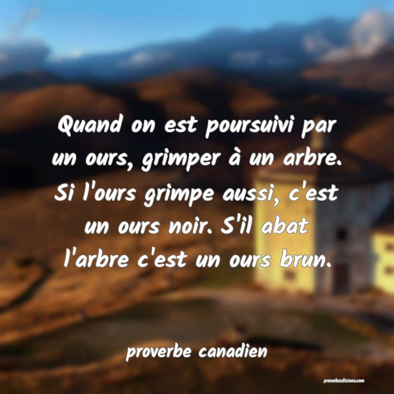  Quand on est poursuivi par un ours, grimper à un arbre. Si l'ours grimpe aussi, c'est un ours noir. S'il abat l'arbre c'est un ours brun.