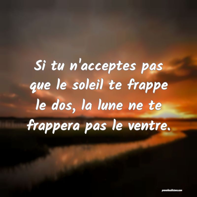 Si tu n'acceptes pas que le soleil te frappe le dos, la lune ne te frappera pas le ventre.