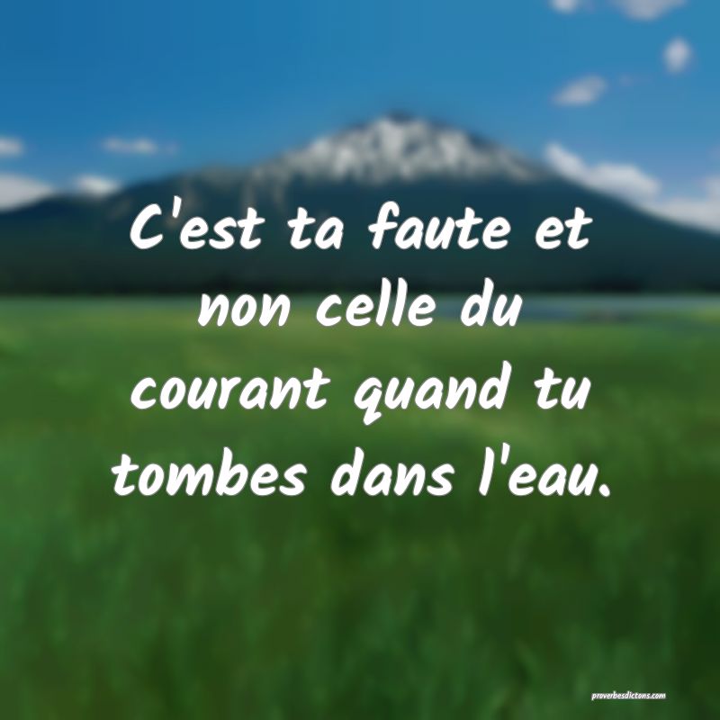 C'est ta faute et non celle du courant quand tu tombes dans l'eau.