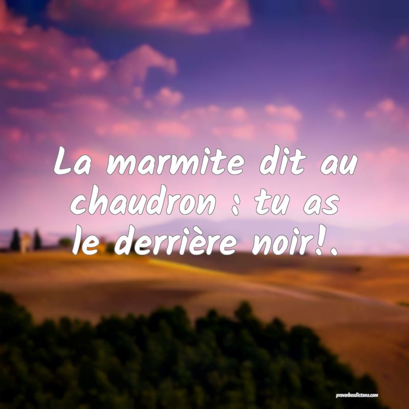La marmite dit au chaudron : tu as le derrière noir!.