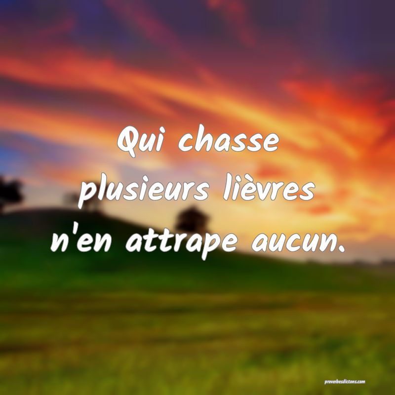 Qui chasse plusieurs lièvres n'en attrape aucun.