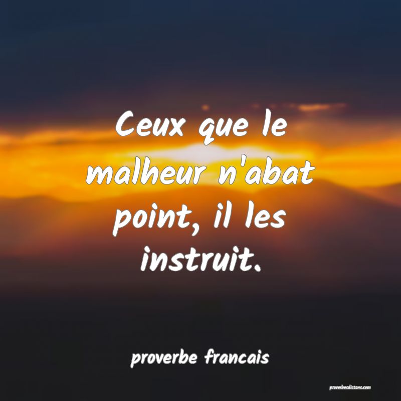 Ceux que le malheur n'abat point, il les instruit.