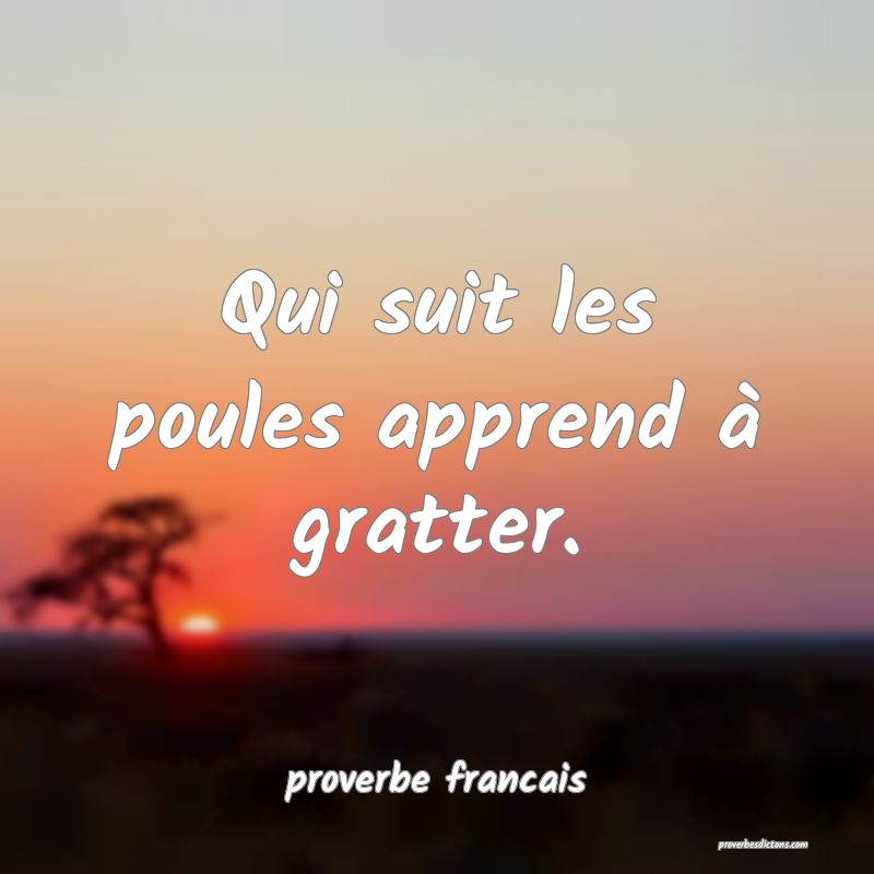Qui suit les poules apprend à gratter.