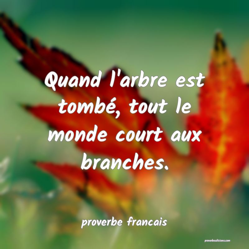 Quand l'arbre est tombé, tout le monde court aux branches.