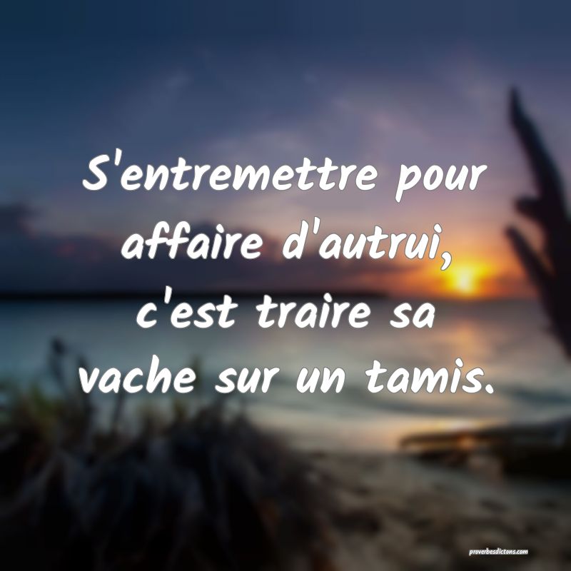 S'entremettre pour affaire d'autrui, c'est traire sa vache sur un tamis.