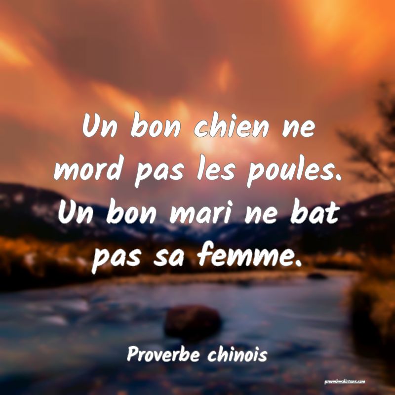 Un bon chien ne mord pas les poules. Un bon mari ne bat pas sa femme.