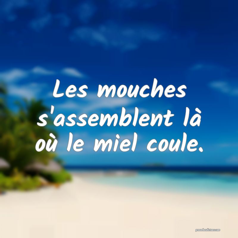 Les mouches s'assemblent là où le miel coule.