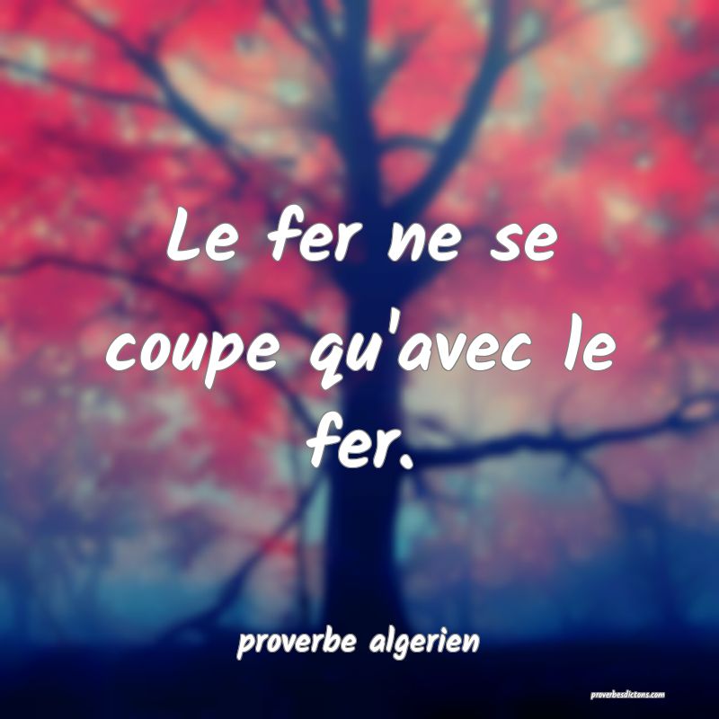  Le fer ne se coupe qu'avec le fer.