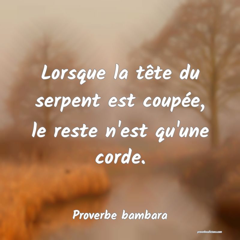 Lorsque la tête du serpent est coupée, le reste n'est qu'une corde.