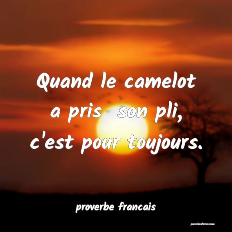 Quand le camelot a pris  son pli, c'est pour toujours.