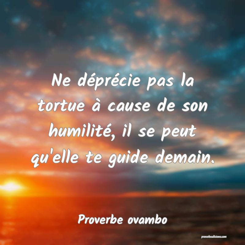 Ne déprécie pas la tortue à cause de son humilité, il se peut qu'elle te guide demain.