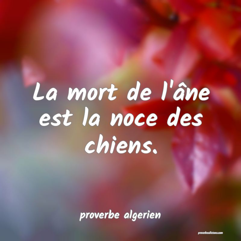  La mort de l'âne est la noce des chiens.