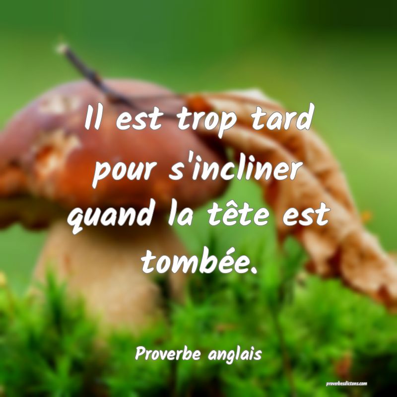 Il est trop tard pour s'incliner quand la tête est tombée.