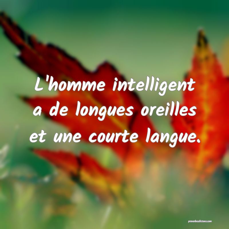 L'homme intelligent a de longues oreilles et une courte langue.