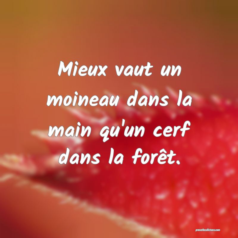 Mieux vaut un moineau dans la main qu'un cerf dans la forêt.
