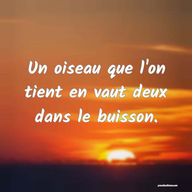 Un oiseau que l'on tient en vaut deux dans le buisson.