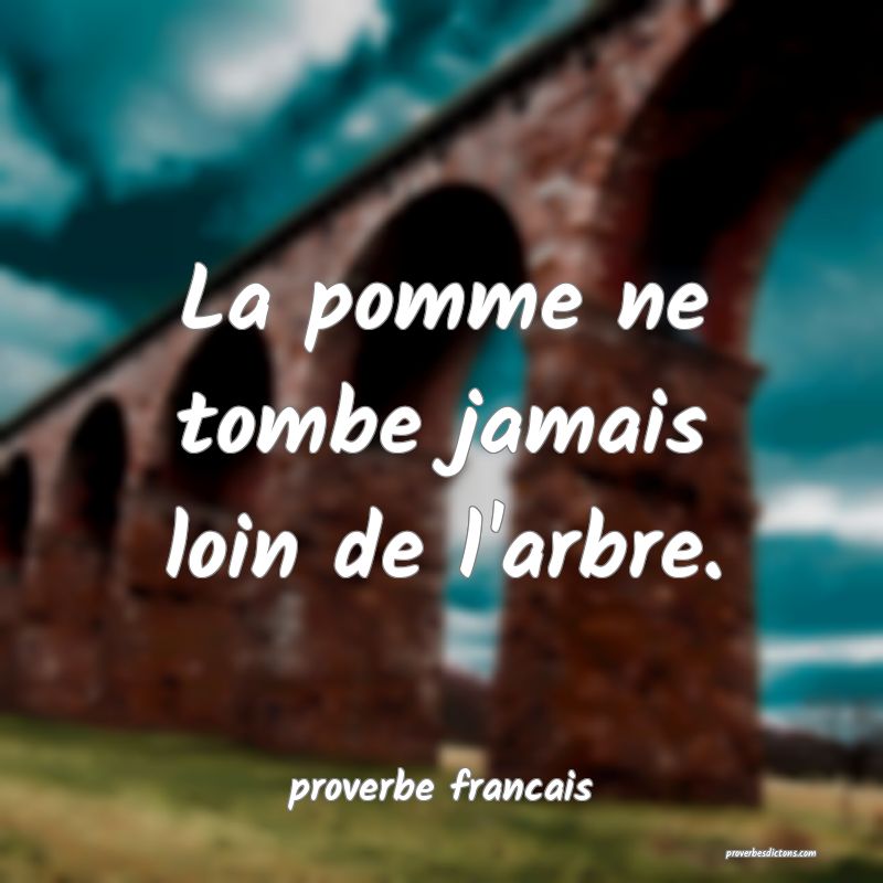 La pomme ne tombe jamais loin de l'arbre.