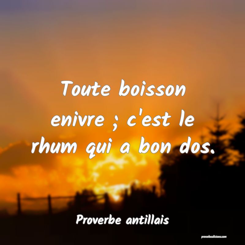 Toute boisson enivre ; c'est le rhum qui a bon dos.
