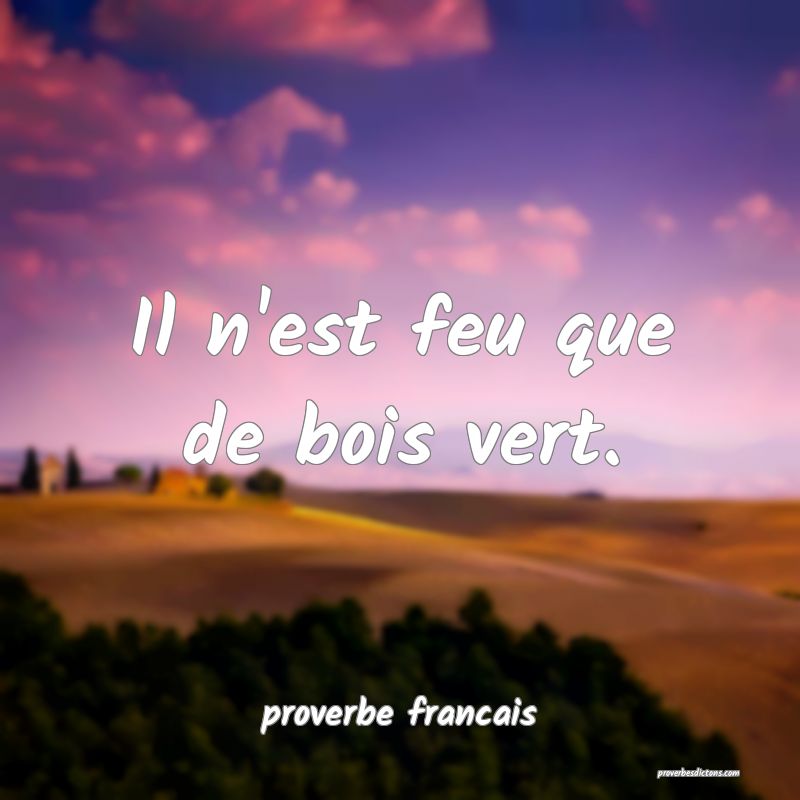 Il n'est feu que de bois vert.