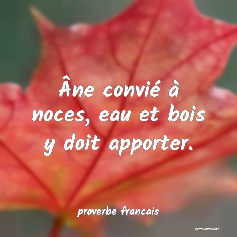 Âne convié à noces, eau et bois y doit apporter.