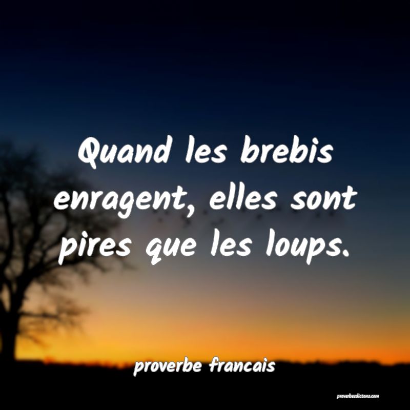 Quand les brebis enragent, elles sont pires que les loups.