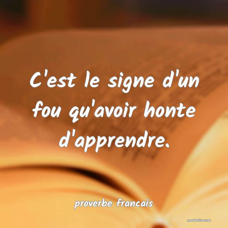 C'est le signe d'un fou qu'avoir honte d'apprendre.