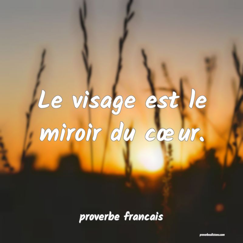 Le visage est le miroir du cœur.