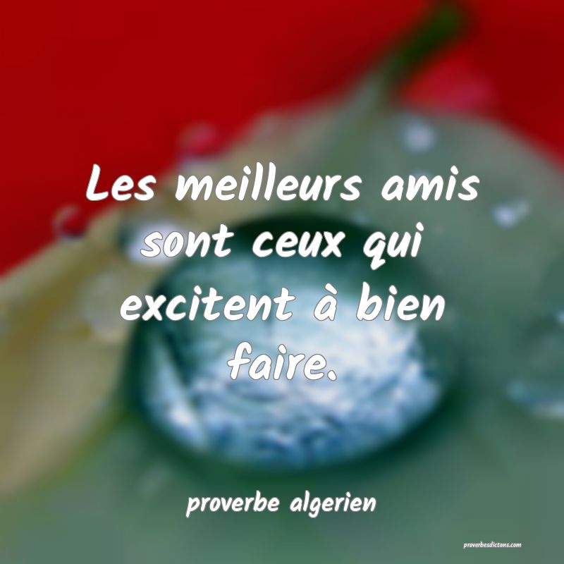  Les meilleurs amis sont ceux qui excitent à bien faire.