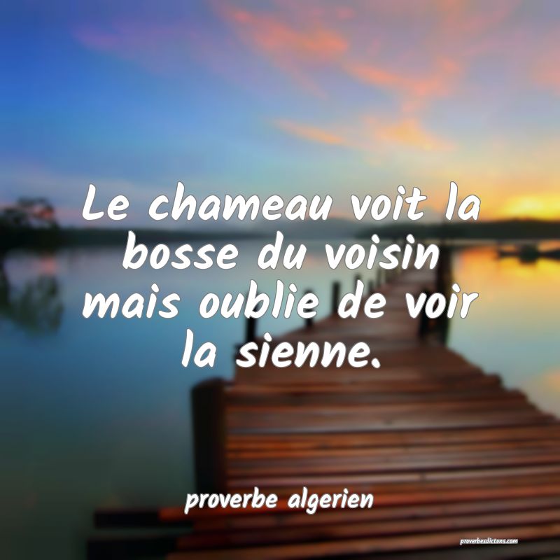  Le chameau voit la bosse du voisin mais oublie de voir la sienne.
