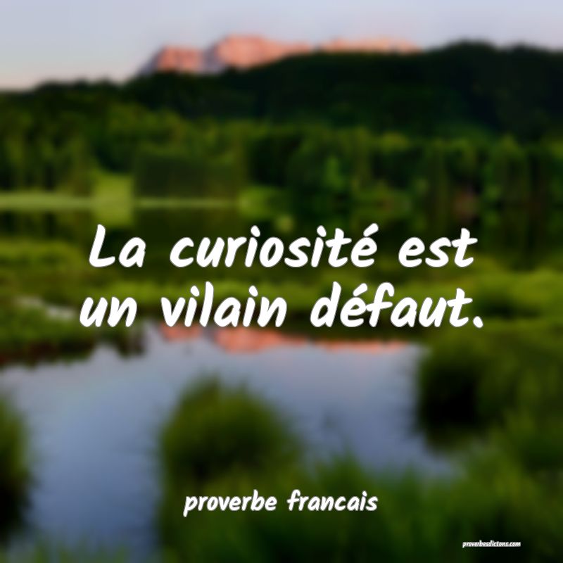 La curiosité est un vilain défaut.