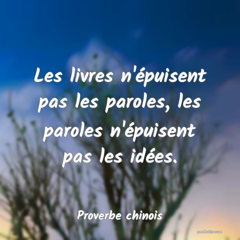 Les livres n'épuisent pas les paroles, les paroles n'épuisent pas les idées.