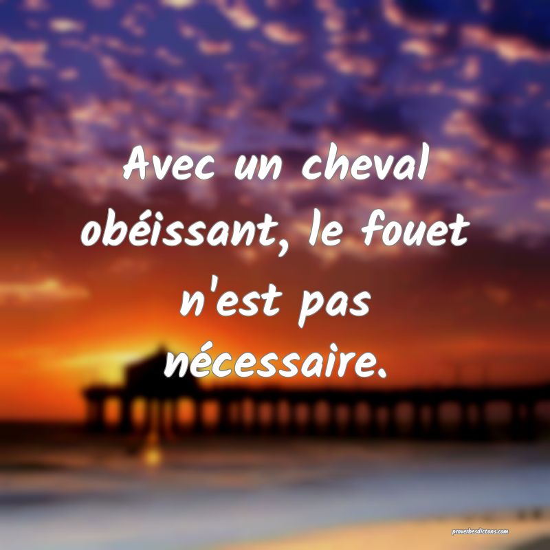 Avec un cheval obéissant, le fouet n'est pas nécessaire.