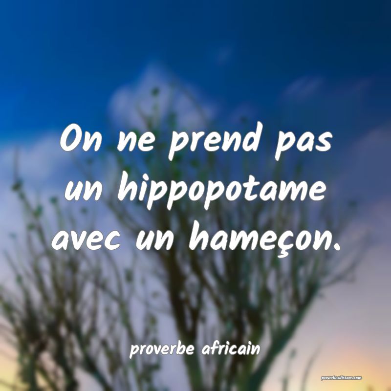 On ne prend pas un hippopotame avec un hameçon.