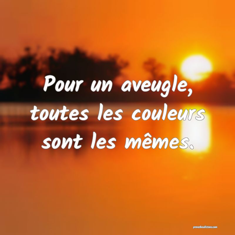 Pour un aveugle, toutes les couleurs sont les mêmes.