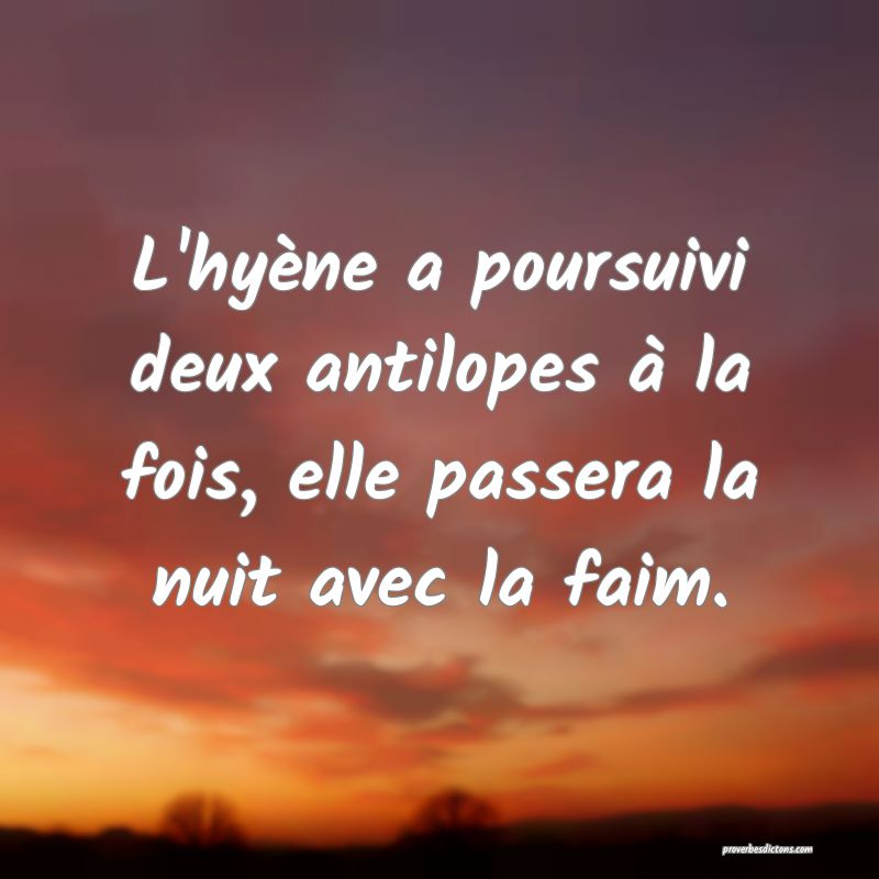 L'hyène a poursuivi deux antilopes à la fois, elle passera la nuit avec la faim.