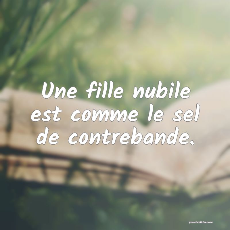 Une fille nubile est comme le sel de contrebande.