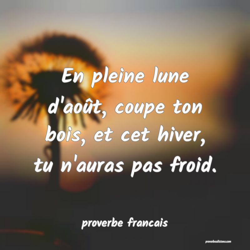 En pleine lune d'août, coupe ton bois, et cet hiver, tu n'auras pas froid.