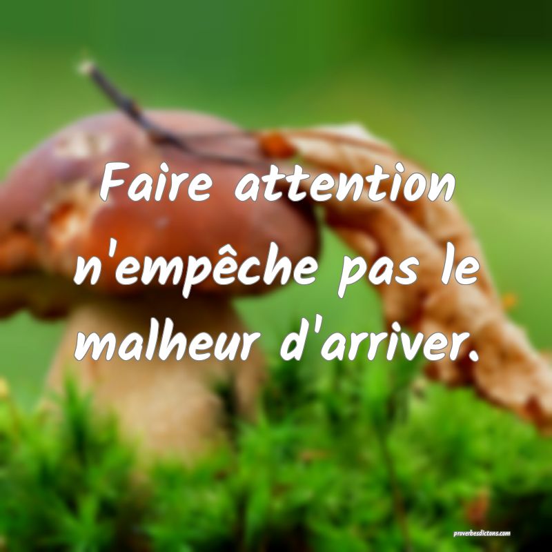 Faire attention n'empêche pas le malheur d'arriver.