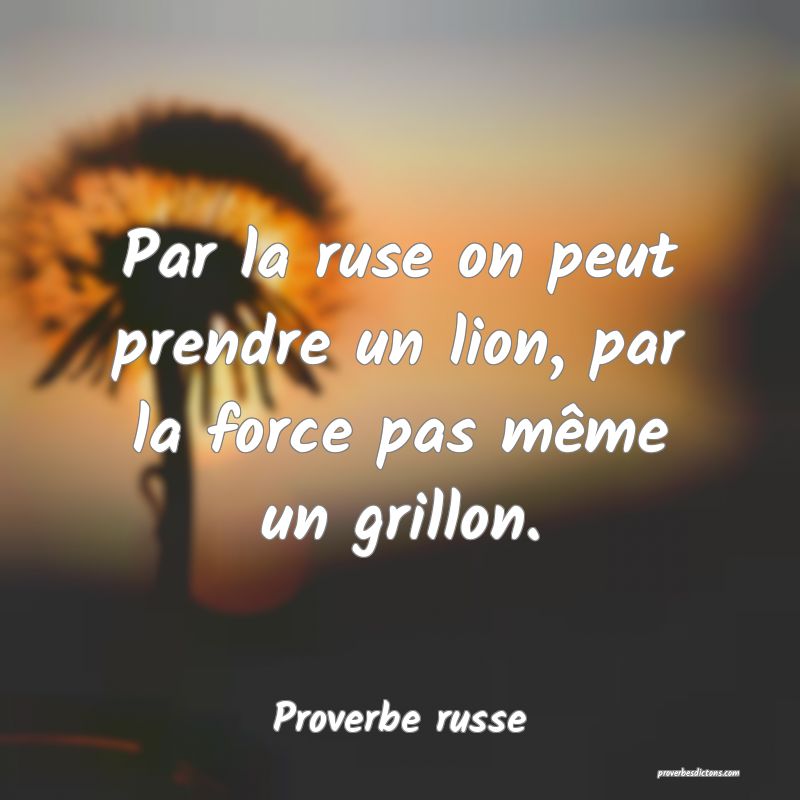  Par la ruse on peut prendre un lion, par la force pas même un grillon.