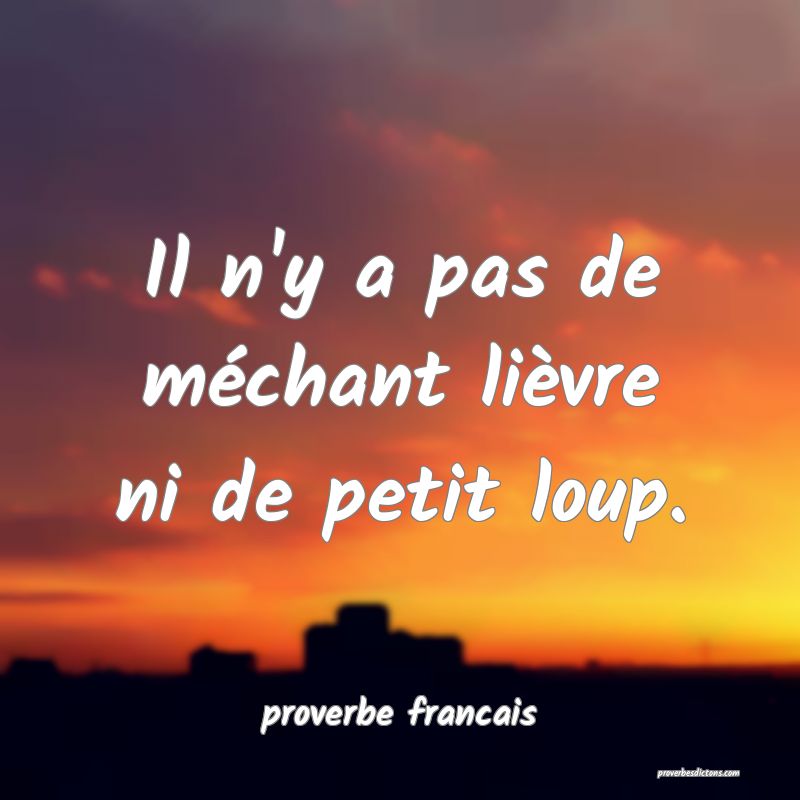 Il n'y a pas de méchant lièvre ni de petit loup.