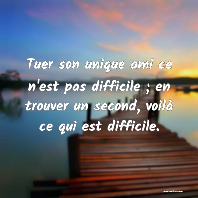 Tuer son unique ami ce n'est pas difficile ; en trouver un second, voilà ce qui est difficile.