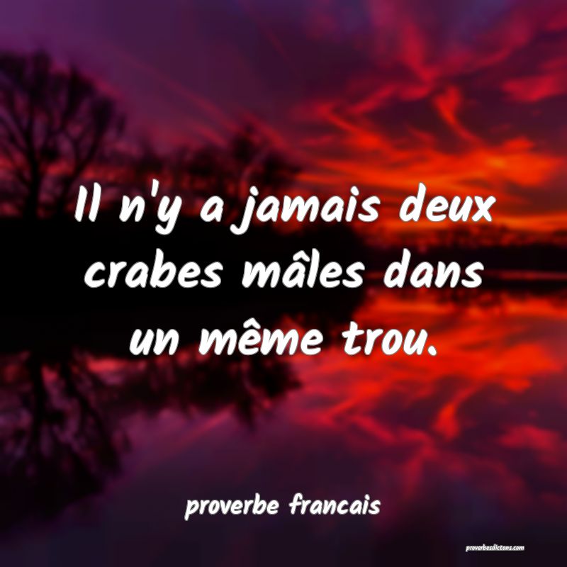 Il n'y a jamais deux crabes mâles dans un même trou.