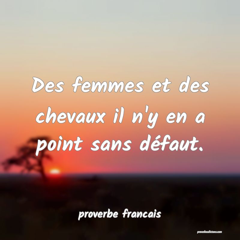Des femmes et des chevaux il n'y en a point sans défaut.