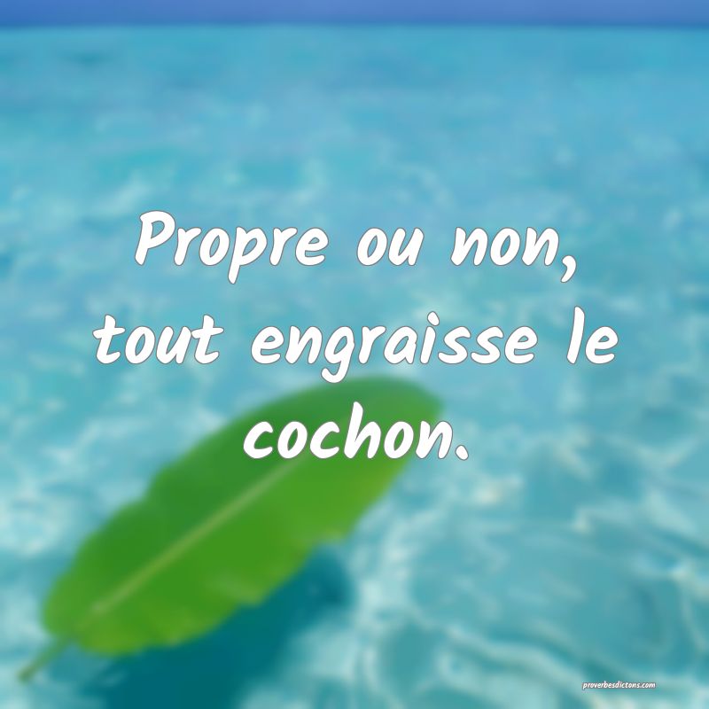 Propre ou non, tout engraisse le cochon.