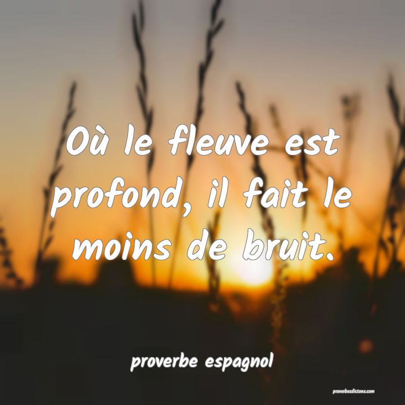  Où le fleuve est profond, il fait le moins de bruit.