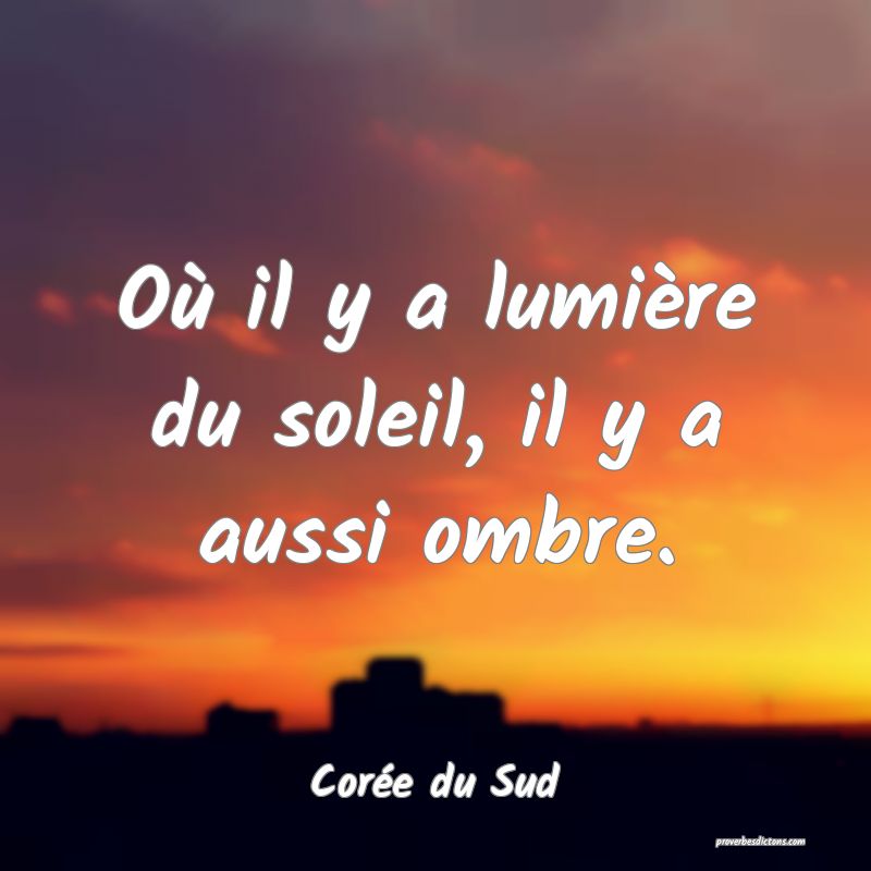  Où il y a lumière du soleil, il y a aussi ombre.